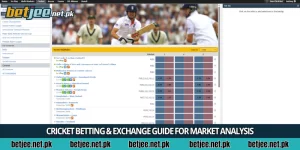 Cricket betting & exchange guide for market analysis