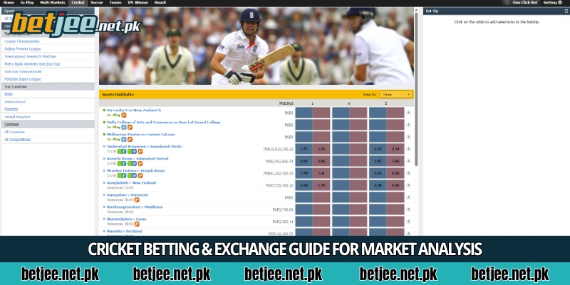 Cricket betting & exchange guide for market analysis