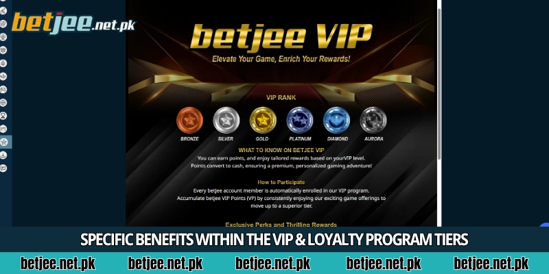 Specific benefits within the VIP & Loyalty Program Tiers